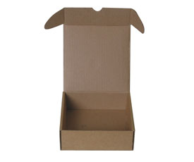 特殊封口(kǒu)包裝産品紙(zhi)盒